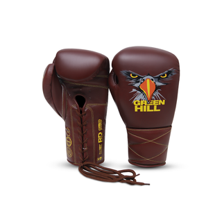 Boxhandschuhe Eagle Eye - Leder