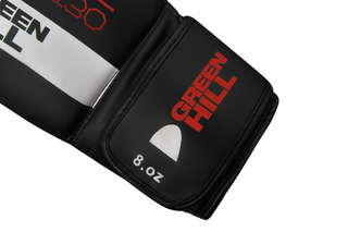 Green Hill F130 Boxhandschuhe