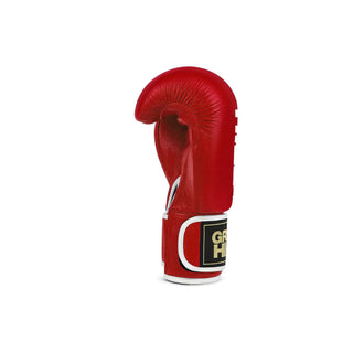 Boxhandschuhe Tiger - Leder (DBV zugelassen) - Next Level