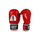 Boxhandschuhe Tiger Leder (DBV Marke zugelassen)