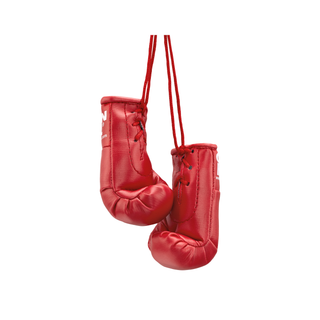 Mini Boxhandschuhe