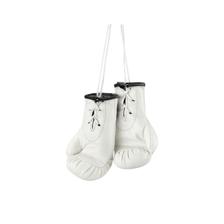 Mini Boxhandschuhe