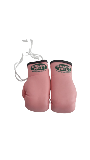 Mini Boxhandschuhe – Green Hill Sports