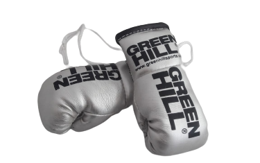Mini Boxhandschuhe - Green Hill Sports